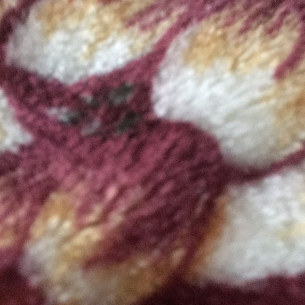 Meet your Posher, Lesly